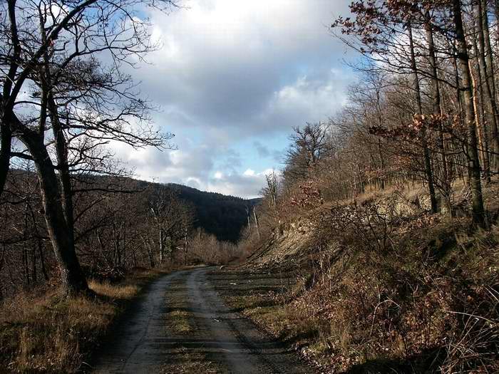 Dolina
