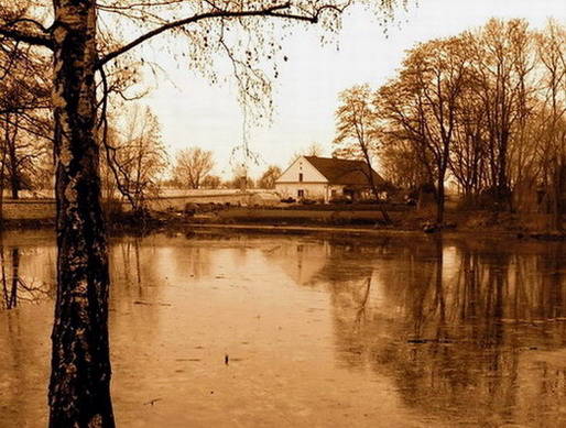 Ctěnický rybník