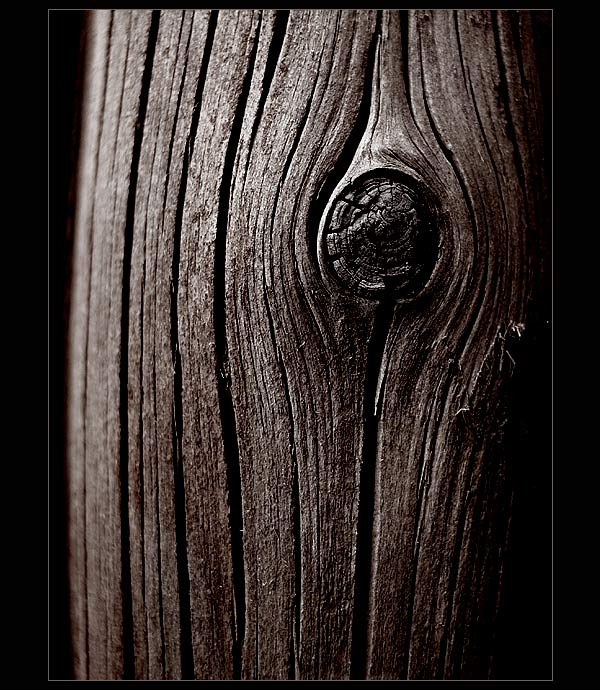dark side of the wood