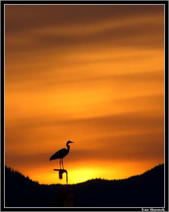 STRAZCE ZAPADU SLUNCE.