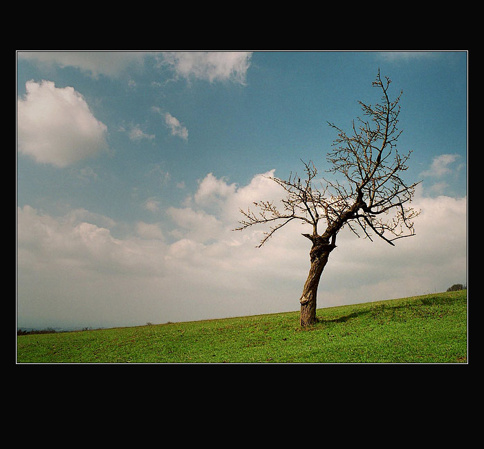 Predjari na Kozakove