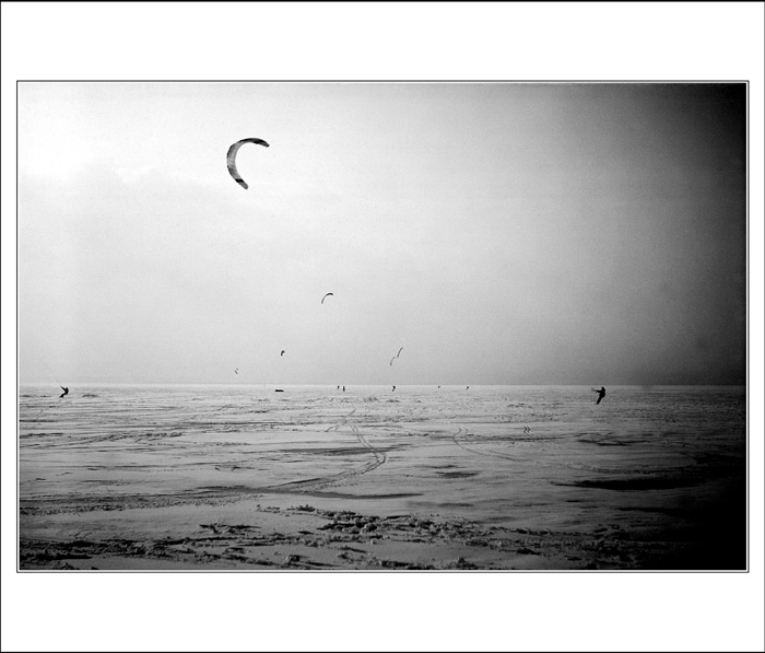 Kite