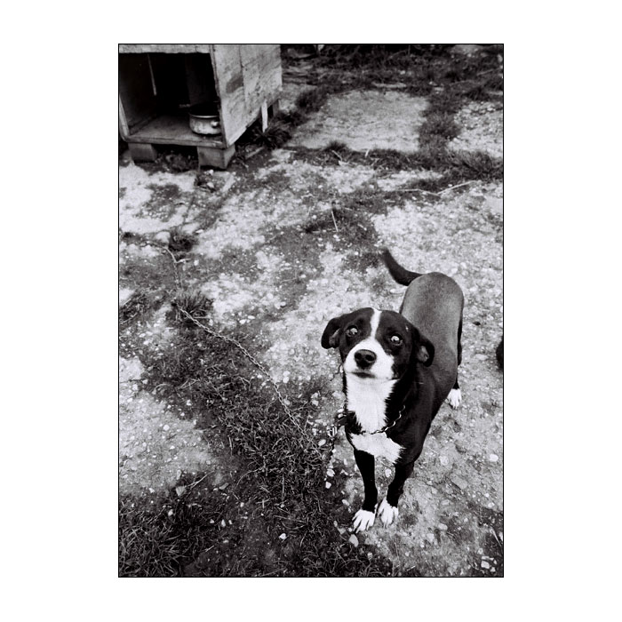 Monty