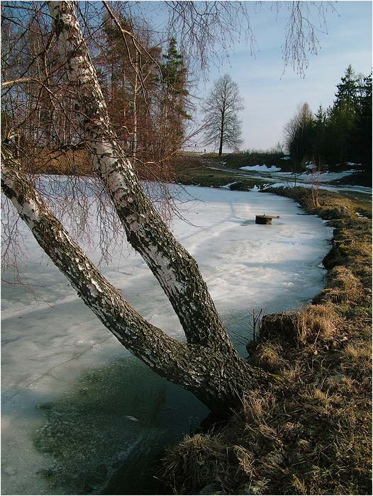 rybník