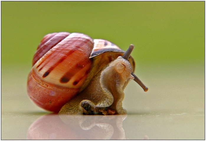 Musím si vás prohlídnout..