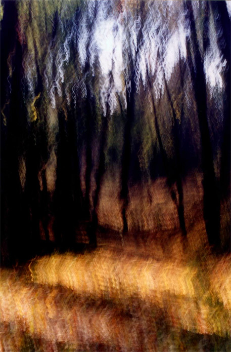 - oilwood -