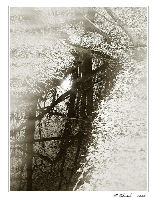 Zamlžené svítání