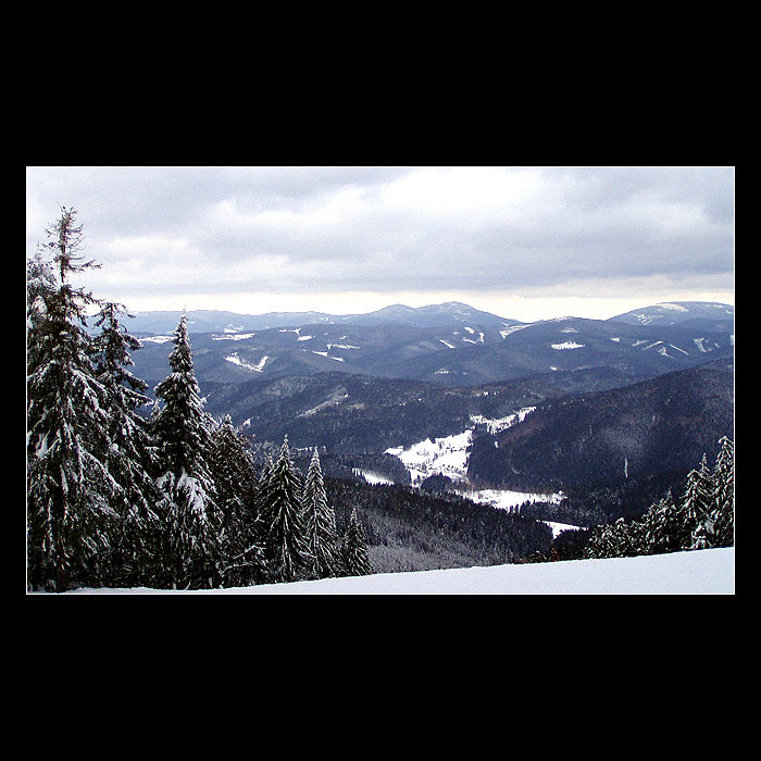 Slovensko - Fran :o)