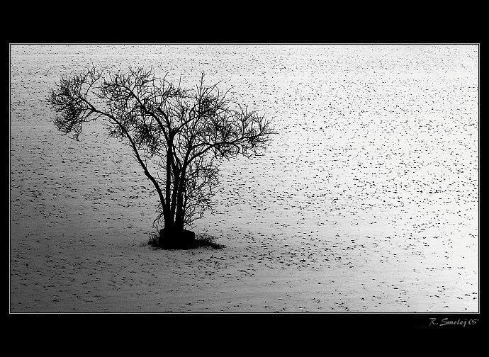 <b>dověčnosti</b> - čtvero ročních dob <b>- zima</b>