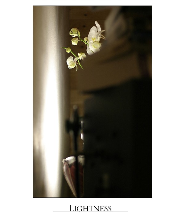 Lightness