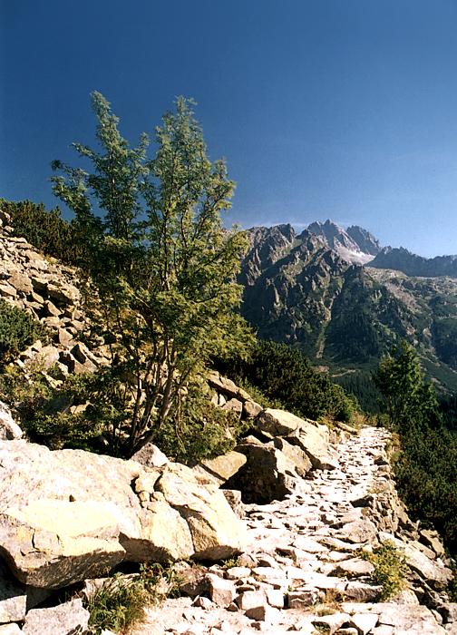 -= tatry =-
