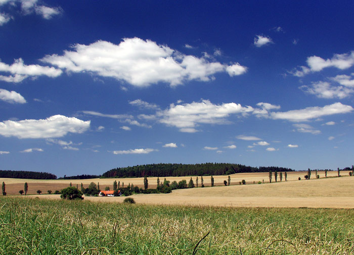 Už bylo zimy dost... :-)
