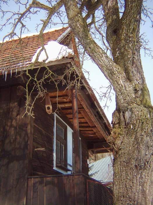 Drevenica