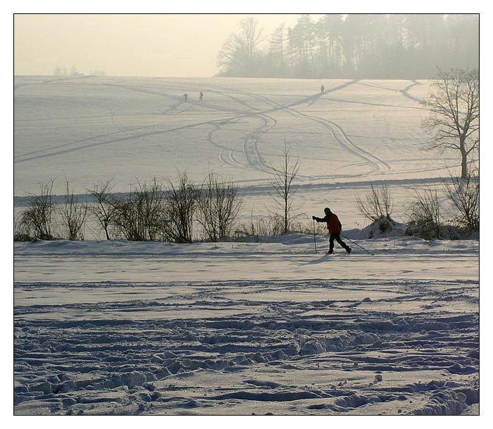 Havířovská zimní krajina (5)