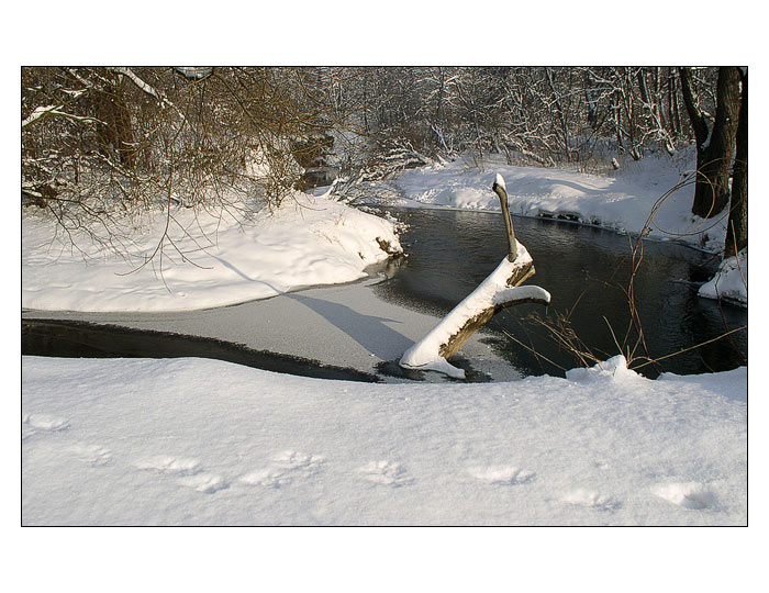 Havířovská zimní krajina (7)