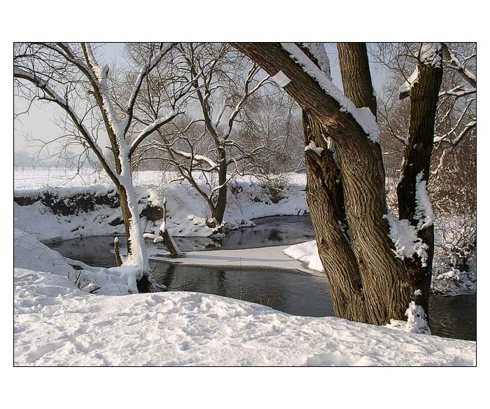 Havířovská zimní krajina (8)