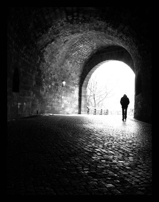 Single / Předjaří