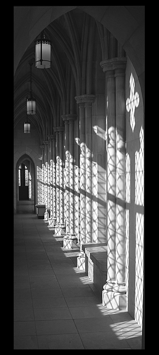 ++ Lighted Hallway ++