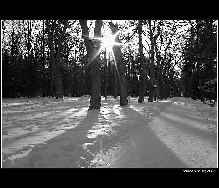 park hvezda