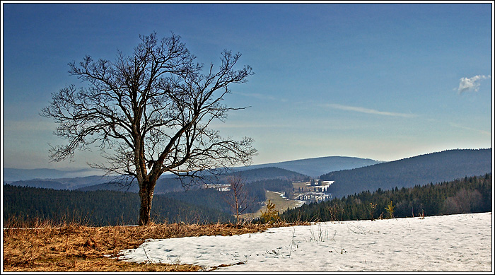 tam, kde jaro přichází po špičkách
