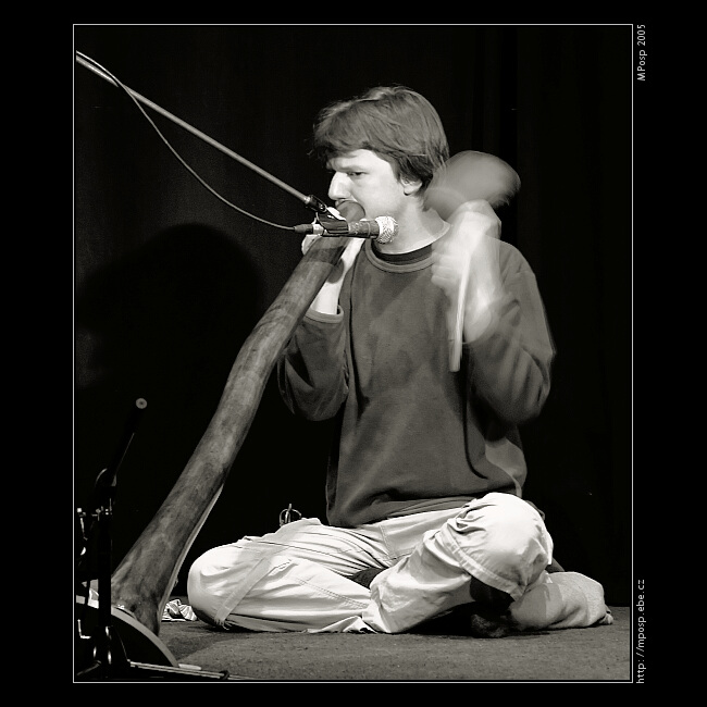 didgeridoo