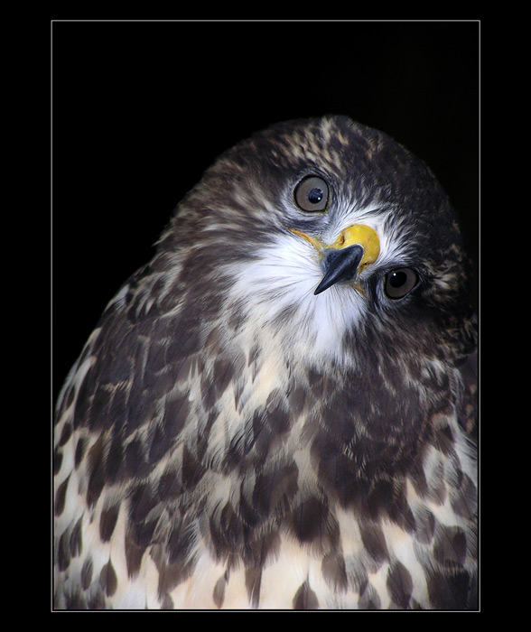 ...ták a ještě trochu doleva a nehýbat...