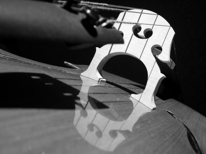 .:: Violoncello I ::.