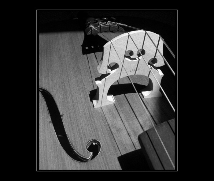 .:: Violoncello II ::.
