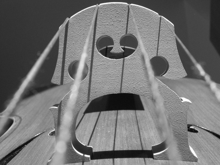 .:: Violoncello III ::.