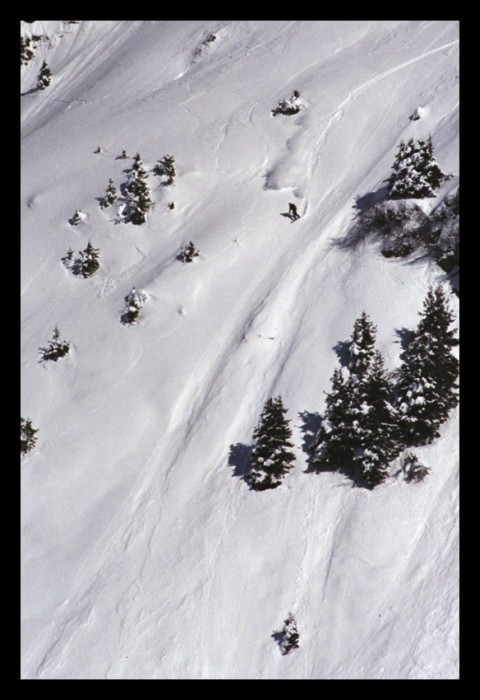 freeride...!