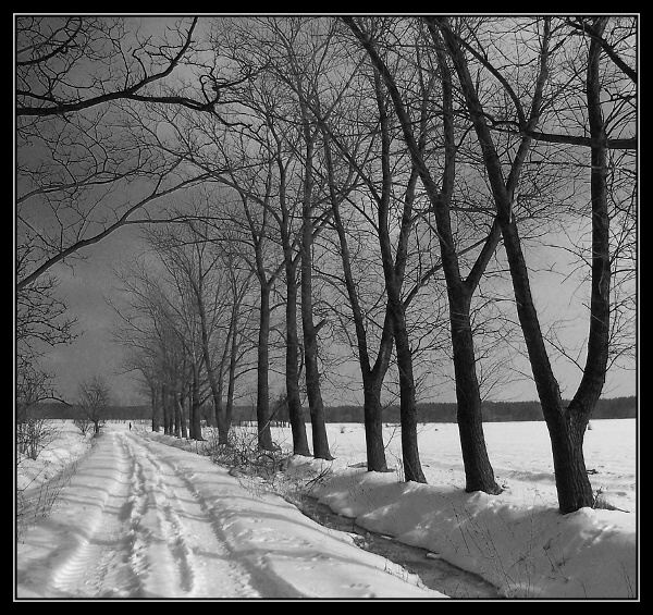 Zima v B/W