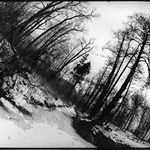 Pohádky z Divného Lesa #1