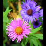 Já už chci jaróóóóóó !!!!