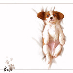 ....:: Benji Cimrman Ležící nespící ::....