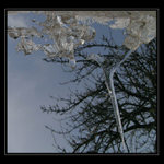 Cepín a příbuzenstvo