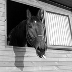 heč, mám hezčí výhled...