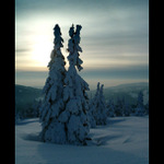 Krkonoše II