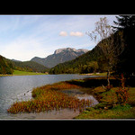 Podzimní am Pillersee