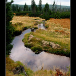 Podzimní Jizerky II