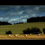 Vysočina