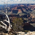 Grand Canon