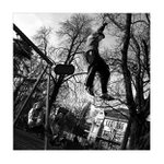 pravidla setrvacnosti