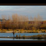 <b><u>*****Na rybačke*****</b></u> </a></span><br>