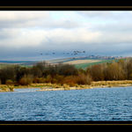 <b><u>*****Stahovanie*****</b></u> </a></span><br>