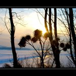 <b><u>*****Bodliak*****</b></u> </a></span><br>