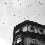 those who do not know the exquisite taste of fine cigars and expensive liquor