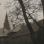 Ospalé město čeká na vraha