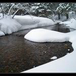 Bělokamenný potok II.