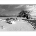 *Smrákání v Clausi*