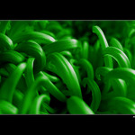 ...Konečně zelená...